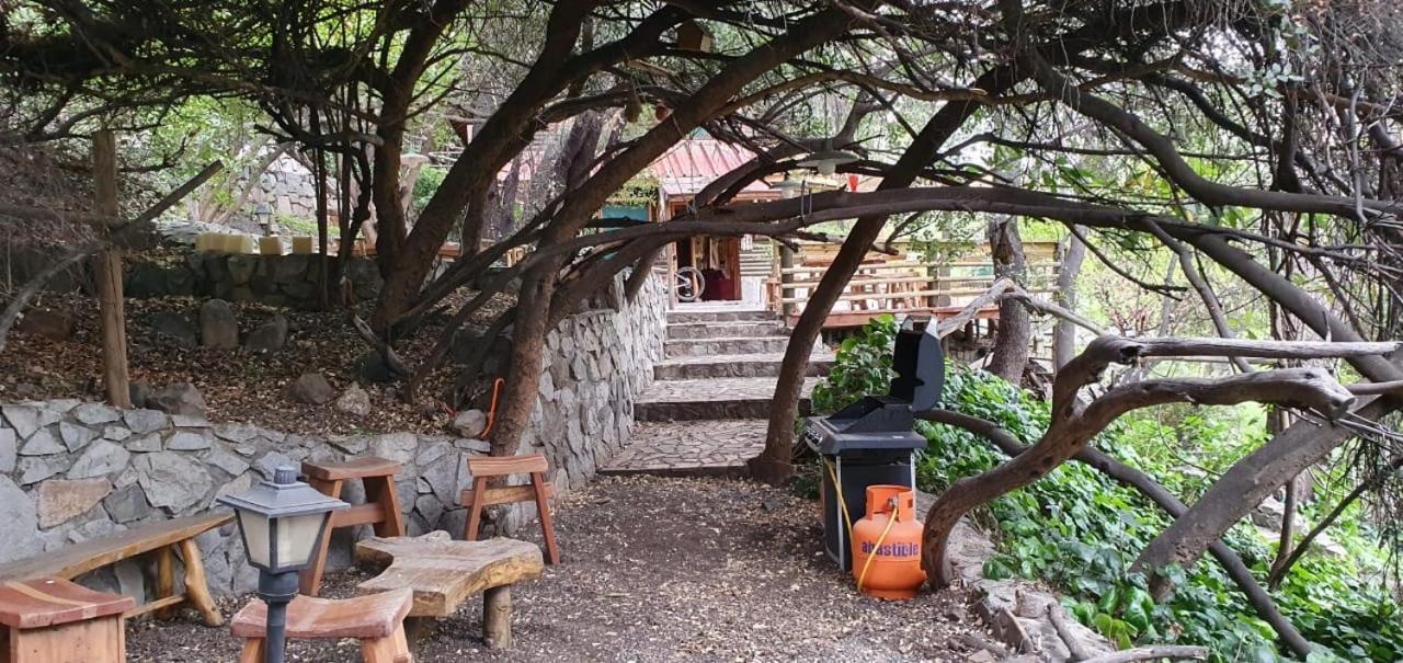 Casa De Montana Inmersa En Bosque Nativo San José de Maipo Dış mekan fotoğraf